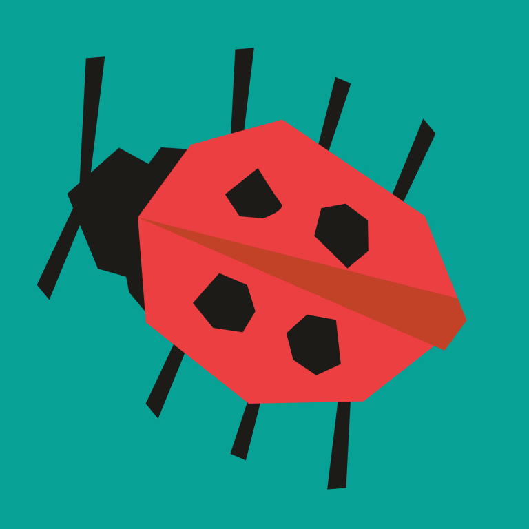 Illustrated ladybird on a green background