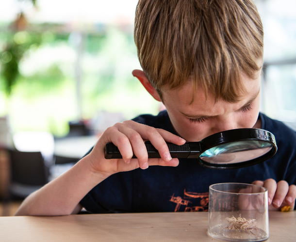 A young boy looking through a magnifying glass at a spider in a jar