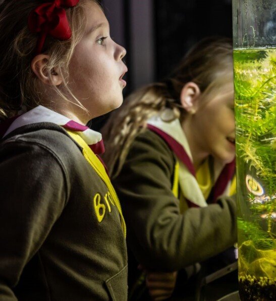 Badge Nights: Nature Detectives (2027)