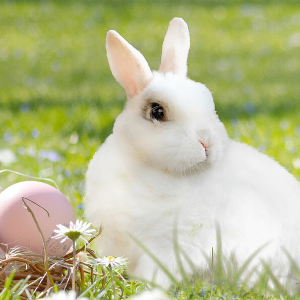 Eggs-travaganza Easter hunt