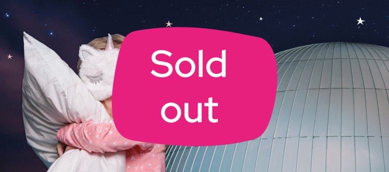 The Big Family Sleepover