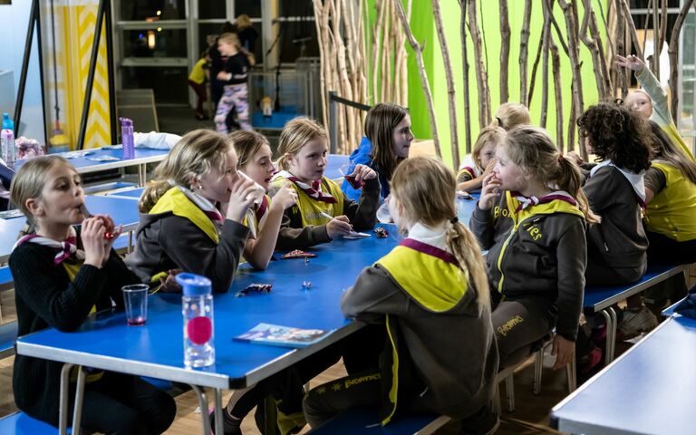 A group of brownies sitting at a table enjoying a snack