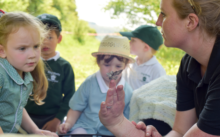 School children looking for bugs at the Butterfly Conservation reserve in Winchester