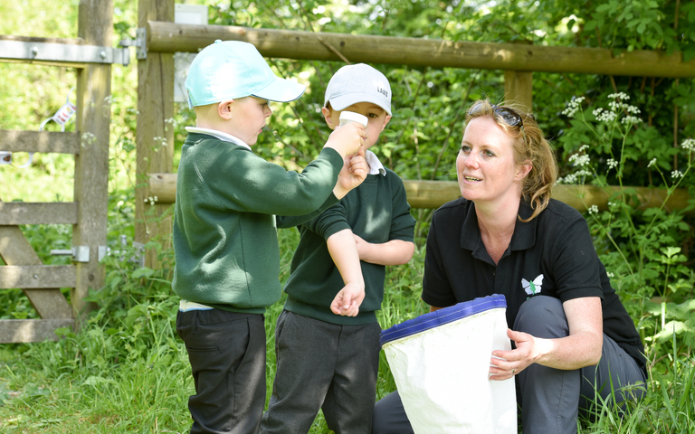 School children looking for bugs at the Butterfly Conservation reserve in Winchester