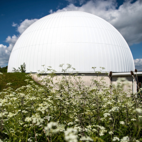 Flowers in front of the Planetarium