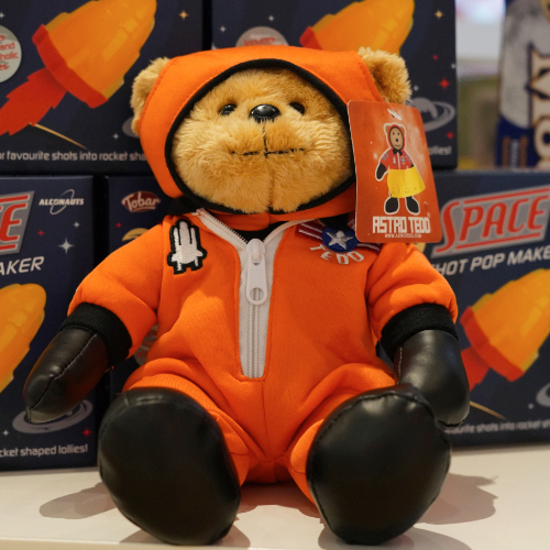 Science Shop photo of a teddy bear dressed in an orange space suit