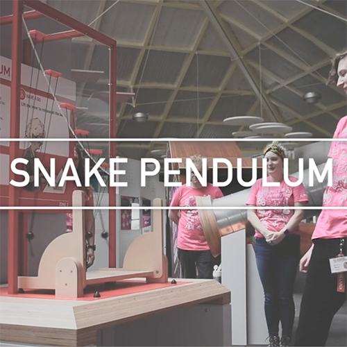 Interactive science exhibition photo showing a 3 presenters looking at the snake pendulum exhibit