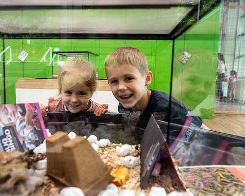 Two smiling children looking inside a tank containing mealworms in Bio:Space