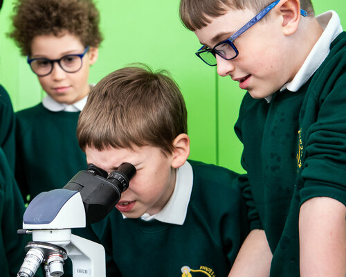 A group of children use a microscope on a school trip