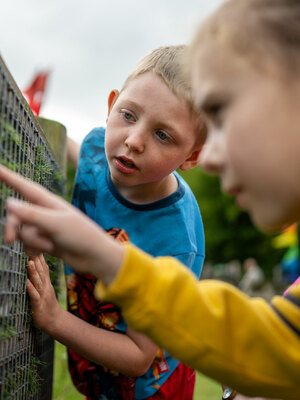 Two children look at an insect home