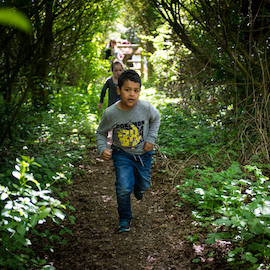 A young boy running through a wooded area towards the camera