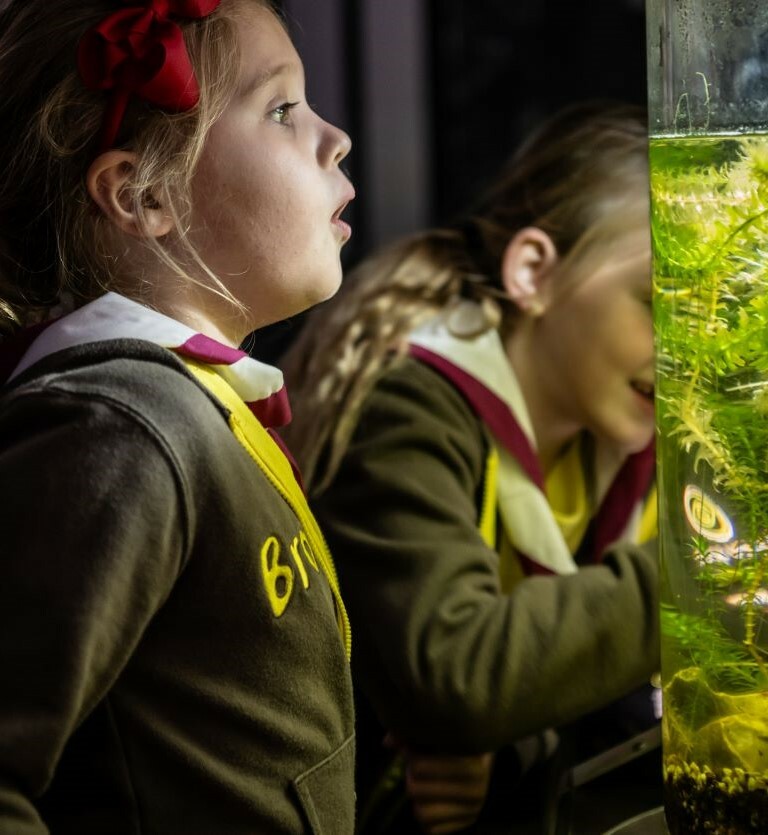 A young girl looks in wonder at a science exhibit