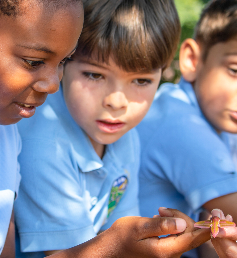 School children looking at a butterfly that has landed on one of their hands